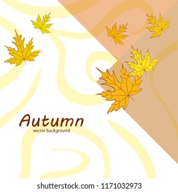 maple leaves autumnal vector background