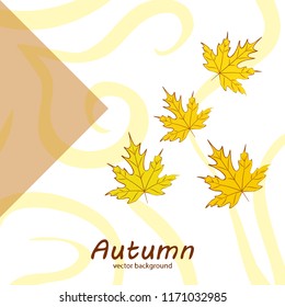 maple leaves autumnal vector background