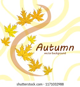 maple leaves autumnal vector background