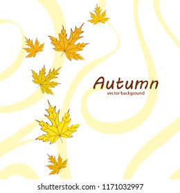 maple leaves autumnal vector background