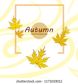 maple leaves autumnal vector background