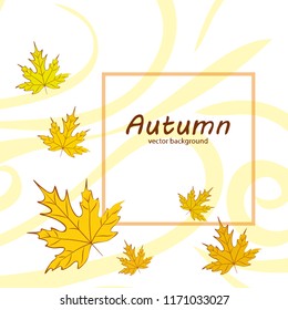 maple leaves autumnal vector background