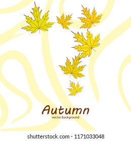 maple leaves autumnal vector background