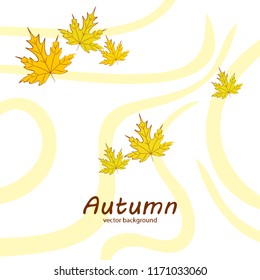 maple leaves autumnal vector background