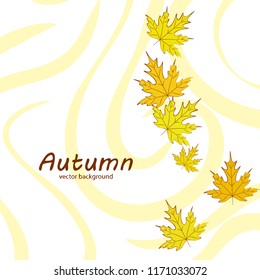 maple leaves autumnal vector background