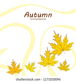 maple leaves autumnal vector background