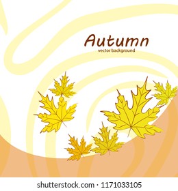 maple leaves autumnal vector background