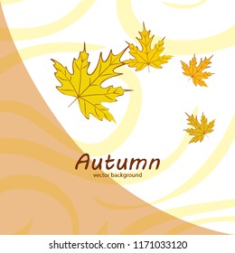maple leaves autumnal vector background