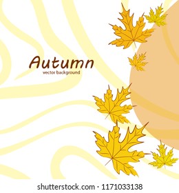 maple leaves autumnal vector background