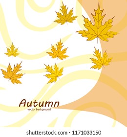 maple leaves autumnal vector background