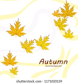 maple leaves autumnal vector background