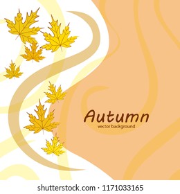 maple leaves autumnal vector background