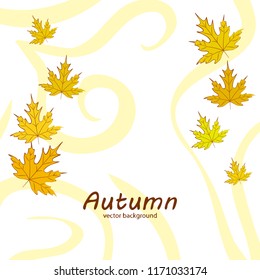 maple leaves autumnal vector background