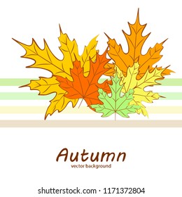 maple leaves autumnal vector background