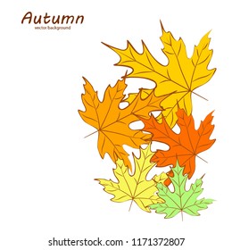 maple leaves autumnal vector background