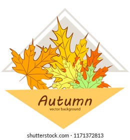 maple leaves autumnal vector background