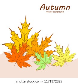 maple leaves autumnal vector background