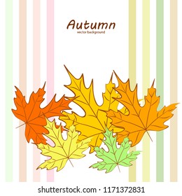 maple leaves autumnal vector background
