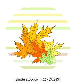 maple leaves autumnal vector background