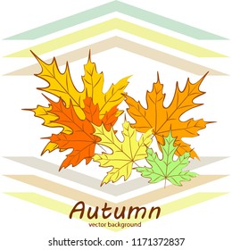 maple leaves autumnal vector background