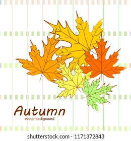 maple leaves autumnal vector background