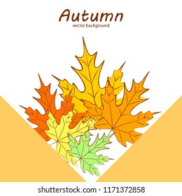 maple leaves autumnal vector background