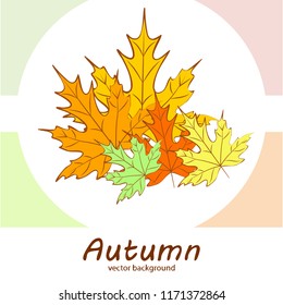 maple leaves autumnal vector background