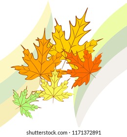 maple leaves autumnal vector background