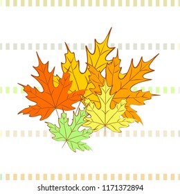 maple leaves autumnal vector background