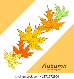 maple leaves autumnal vector background