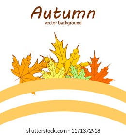 maple leaves autumnal vector background