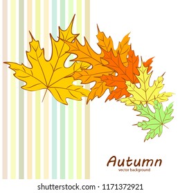 maple leaves autumnal vector background