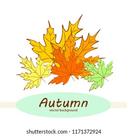 maple leaves autumnal vector background