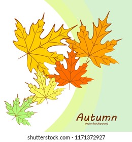 maple leaves autumnal vector background