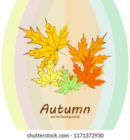 maple leaves autumnal vector background