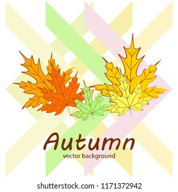 maple leaves autumnal vector background