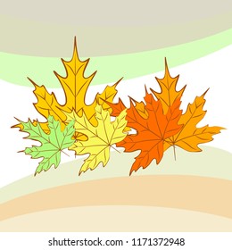 maple leaves autumnal vector background
