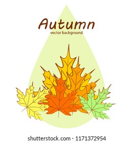 maple leaves autumnal vector background