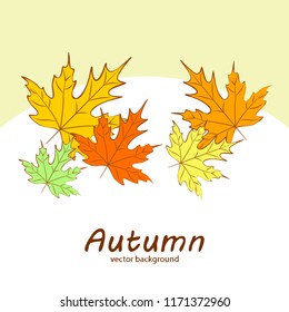 maple leaves autumnal vector background