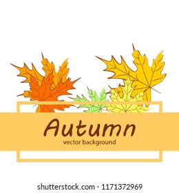 maple leaves autumnal vector background