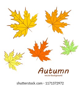 maple leaves autumnal vector background