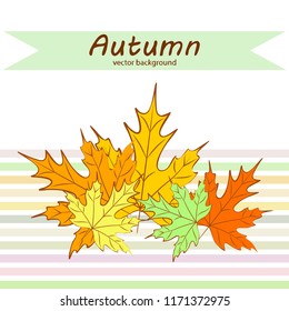 maple leaves autumnal vector background