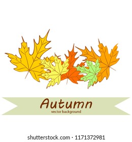 maple leaves autumnal vector background