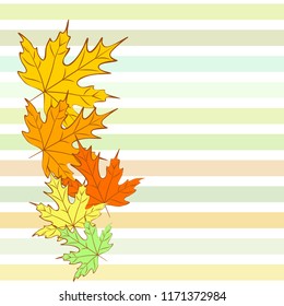 maple leaves autumnal vector background