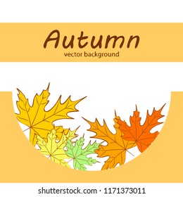 maple leaves autumnal vector background