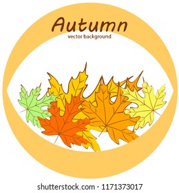 maple leaves autumnal vector background