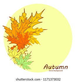 maple leaves autumnal vector background