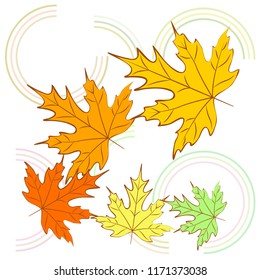 maple leaves autumnal vector background