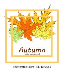 maple leaves autumnal vector background