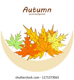maple leaves autumnal vector background